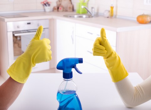 Professional upholstery cleaning in Gallows Corner for a sofa