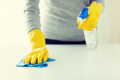 Supplier due diligence and audit process for carpet cleaning business