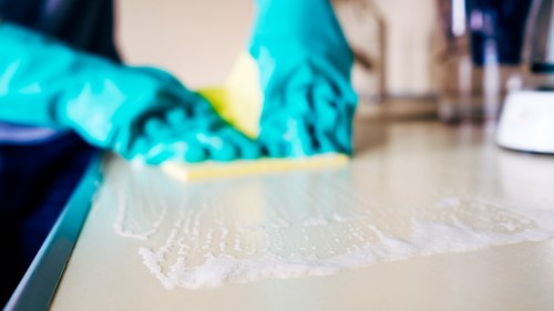 Professional carpet cleaning assessment before treatment begins
