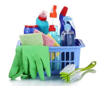 Carpet cleaning service terms section with customer responsibilities