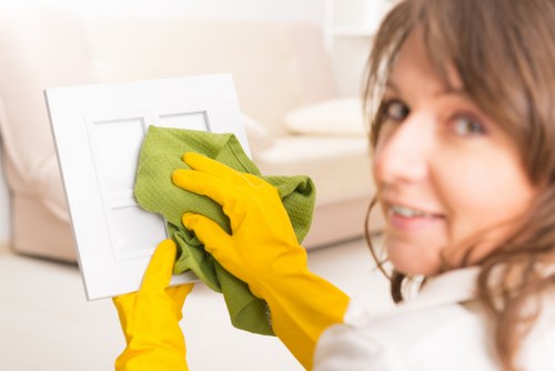 Technician applying careful cleaning methods to protect flooring and furnishings